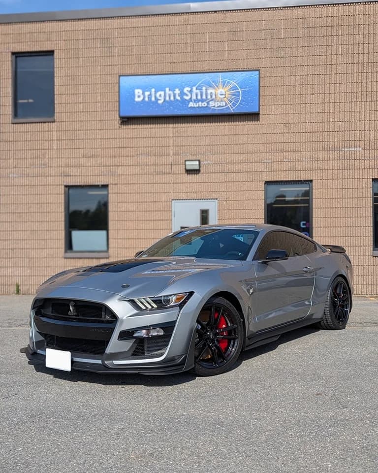 2021 Shelby Factory Stripe Deleted GT500 Window Tint